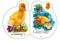 Малята: У селі Ранок М411016У Різнокольоровий (9789667508593)  Фото №1