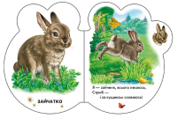 Малята: У лісі Ранок М411017У Різнокольоровий (9789667508609)  Фото №2