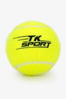 М&#039;ячі для великого тенісу 3 шт TK Sport C40194 Різнокольоровий  Фото №0