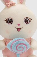 Мягкая игрушка Зайчонок YingXing BB318 Разноцветный (2002012447567)  Фото №1