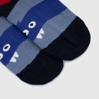 Шкарпетки для хлопчика Leostep 1000611314 14 Синій (4820243005145А)  Фото №2