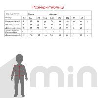 Рубашка с вышивкой для мальчика КОЗАЧЕК МИКОЛА 116 см Джинсовый (2000990148599D)(SC)  Фото №11