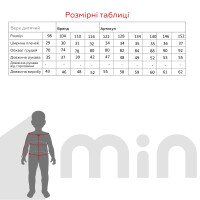 Сорочка з вишивкою для хлопчика КОЗАЧОК ІЛЛЯ 104 см Різнокольоровий (2000989394679D)(SC)  Фото №2
