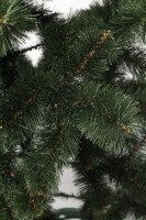 Сосна засніжена П-1.0М 1 м (NY)  Фото №1