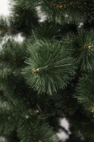 Сосна засніжена П-1.0М 1 м (NY)  Фото №0