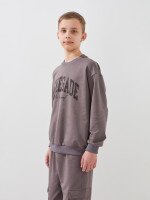 Купить Спортивный костюм свитшот+штаны для мальчика LAWA P-BB02338 146 см Коричневый-графитовый Артикул: 2000999531286 Миниатюра фотографии № 3