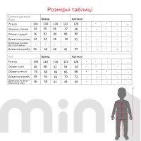 Спортивный костюм худи+штаны для девочки Dinomin 76085 104 см Черный  Фото №8