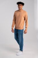 Свитшот однотонный мужской Demos DMS003 baza 2XL Бежевый (2000989426363D)  Фото №0
