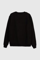 Свитшот однотонный мужской Stendo 231538 3XL Черный (2000989986621D)  Фото №8