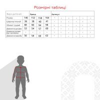 Свитшот с принтом для мальчика Deniz 3008 152 см Бежевый (2000990475138D)  Фото №9