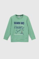 Світшот з принтом для хлопчика Deniz 05022 98 см Зелений (2000990438164D)  Фото №5