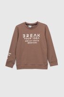 Свитшот с принтом для мальчика Deniz 05023 98 см Коричневый (2000990438225D)  Фото №4