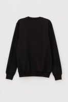 Свитшот с принтом мужской CLUB ju CJU4751 3XL Черный (2000990086259D)  Фото №10