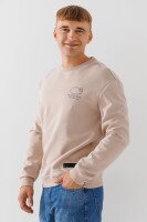 Свитшот с принтом мужской 91-24 XL Бежевый  Фото №1