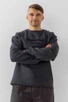 Світшот з принтом чоловічий Demos Demos-33 XL Темно-сірий  Фото №1