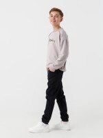 Світшот з принтом для хлопчика Black Kids 07 128 см Сірий (2000990475763W)  Фото №2