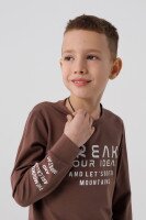 Свитшот с принтом для мальчика Deniz 05023 98 см Коричневый (2000990438225D)  Фото №1