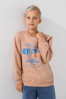 Світшот з принтом для хлопчика Ecrin 3825 116 см Бежевий (2000990694034D)