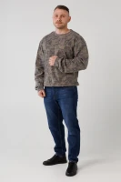 Свитшот с узором мужской Jean Piere BG7418-B 3XL Бежевый (2000990415615D)  Фото №3