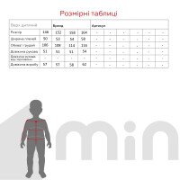 Світшот з принтом для дівчинки Lizi 164 158 см Графітовий  Фото №3