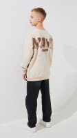 Купить Свитшот с принтом для мальчика Dinomin M-307 146 см Бежевый Артикул: 2000999486630 Миниатюра фотографии № 6