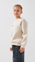 Купить Свитшот с принтом для мальчика First Kids M-190 122 см Бежевый Артикул: 2000999198472 Миниатюра фотографии № 3