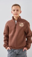 Купить Свитшот с принтом для мальчика LAWA P-BB02330 152 см Кофейный Артикул: 2000999388569 Миниатюра фотографии № 1