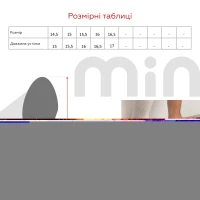 Капці для хлопчика Берегиня 0115 Сині машинки 15 Синій  Фото №8