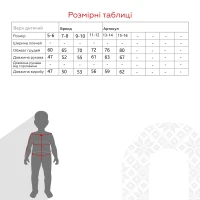 Термоджемпер для мальчика FSM 212 9-10 лет Черный (2000990054562W)  Фото №11