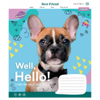Зошит учнівський &quot;Well, Hello!&quot; 1 вересня 766302 12 арк. (4823092274625)(SC)  Фото №3