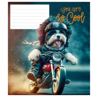 Зошит учнівський &quot;You are so cool&quot; Школярик 012-3241K 12 арк. (482000647043203241)(SC)  Фото №2