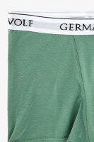 Трусы мужские German Volf 23058 S Оливковый  Фото №0
