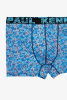 Труси чоловічі KENN PAUL 030 абстракція 3XL Різнокольоровий  Фото №0