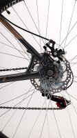 Велосипед SPELLI SMART 29ER 19 29&quot; Серо-бронзовый  Фото №5