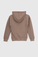 Худі з принтом для хлопчика ADK 2950 128 см Капучино (2000990066077D)  Фото №7