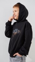 Купить Худи с принтом для мальчика Dinomin M-310 116 см Черный Артикул: 2000999486777 Миниатюра фотографии № 3