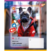 Зошит учнівський &quot;Cute animals&quot; YES 767731 36 арк. Різнокольоровий
