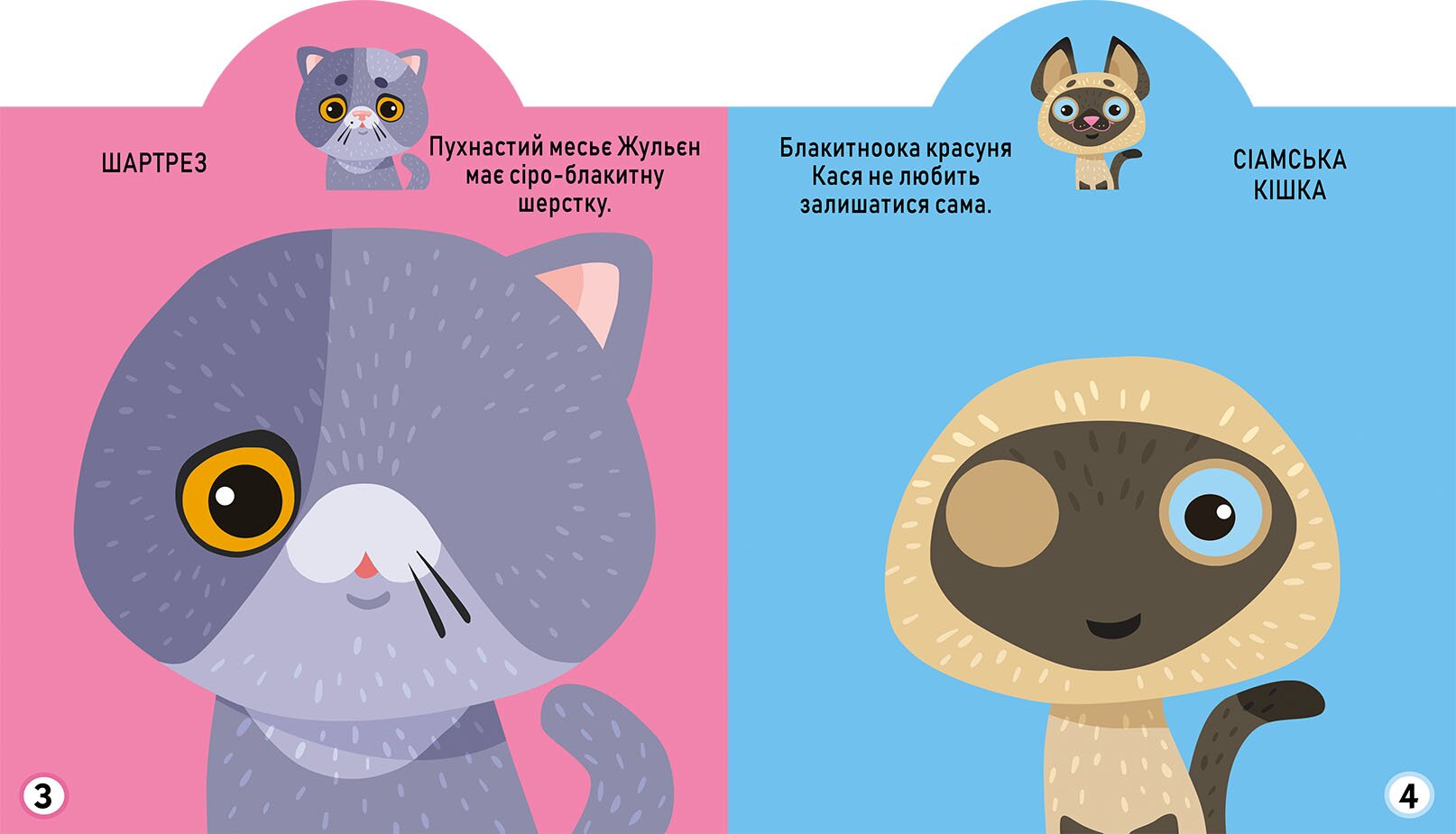 Книга &quot;Грайка-розвивайка. Котики. 69 великих наліпок&quot; 5587 (9789669875587)  Фото №2