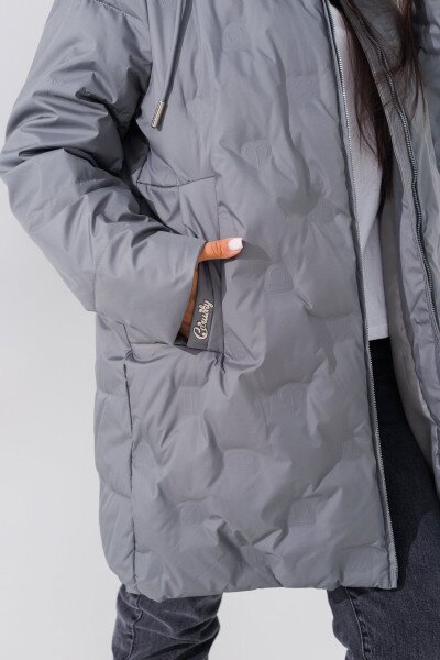 picture-4