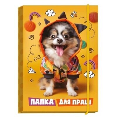 Купить Папка для труда Рюкзачок ПП-1 Разноцветный (2000990615817)(SC) Артикул: 2000990615817 Фото №1