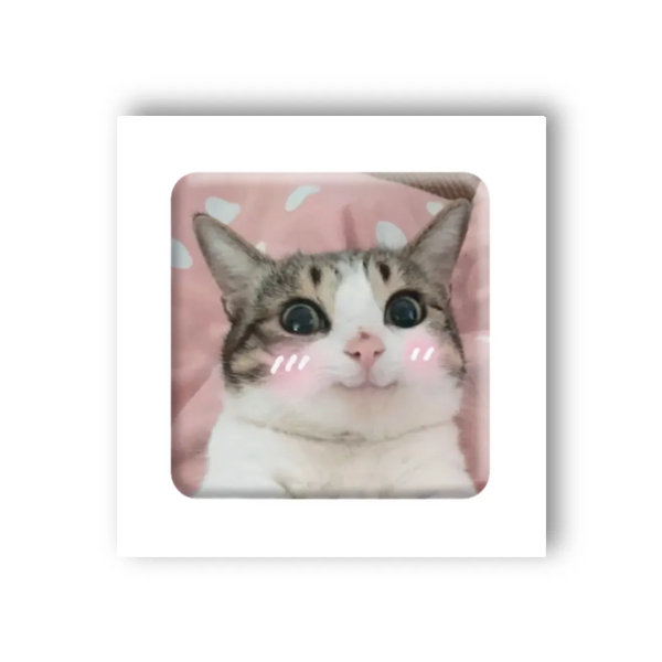 3D-стікер &quot;Мем милий котик&quot; Tattooshka SX-25 (4829000011023)