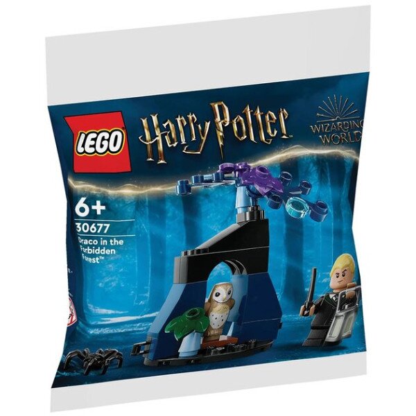 Конструктор LEGO Драко у Забороненому лісі 30677 33 деталі Різнокольоровий