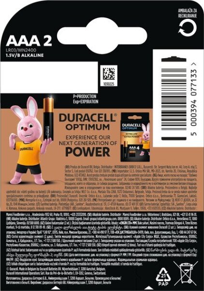 Купити Батарейки DURACELL Basic 77133 AAA1.5V LR03 2 шт на блістері Артикул: 5000394077133 Фото №2