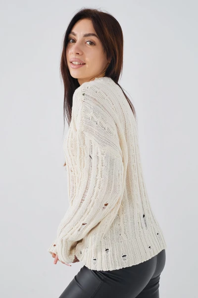 picture-4