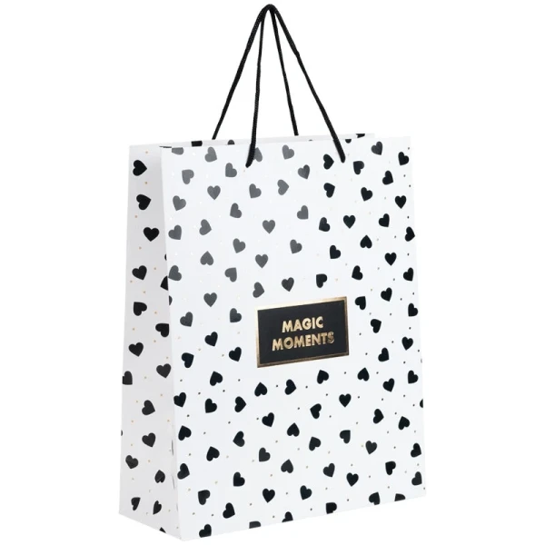 Купить Пакет подарочный «Axent» 8502-40-A Turnowsky Black&White Разноцветный Артикул: 4063276344403 Фото №1