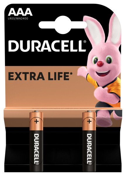 Батарейка DURACELL Basic AAA1.5V LR03 2 штуки на блістері 5010171 (5000394058170)