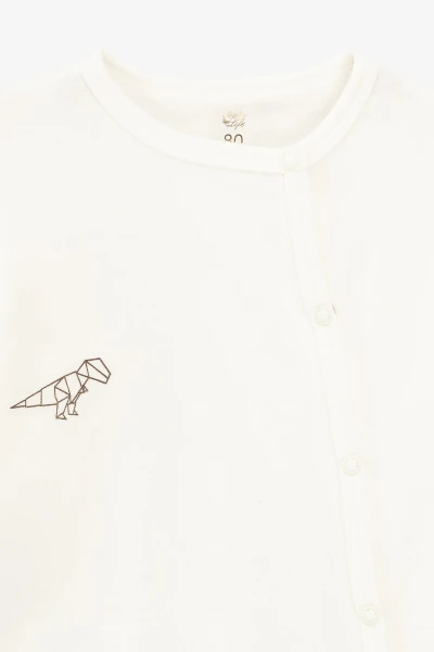 picture-2