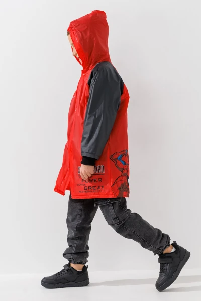 picture-4