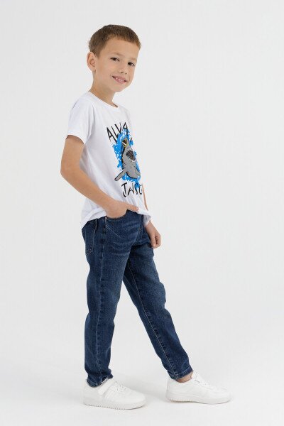 picture-4