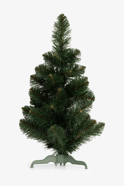 picture-1
